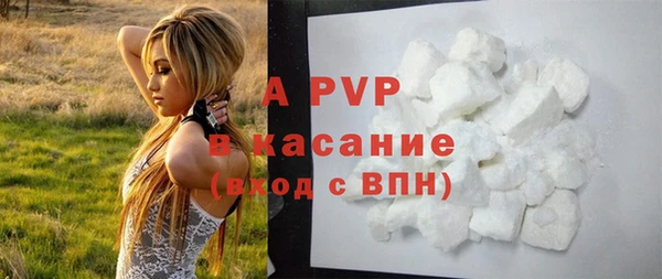 spice Верея
