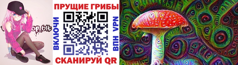 blacksprut ТОР Славянск-на-Кубани Галлюциногенные грибы Psilocybine cubensis